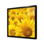 Ayçiçekleri | Kanvas Tablo | Cam Tablo | Mdf Tablo | A03068 - Görsel 3