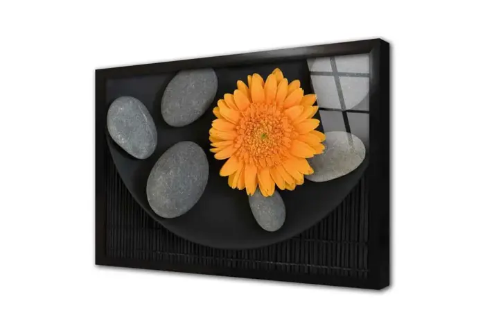 Turuncu Aster Ve Spa Taşları | Kanvas Tablo | Cam Tablo | Mdf Tablo | A03101 - Görsel 3