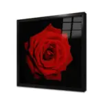 Siyah Fon Üzerinde Kırmızı Gül | Kanvas Tablo | Cam Tablo | Mdf Tablo | A03164 - Görsel 3