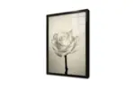 Beyaz Gül | Kanvas Tablo | Cam Tablo | Mdf Tablo | A03168 - Görsel 3