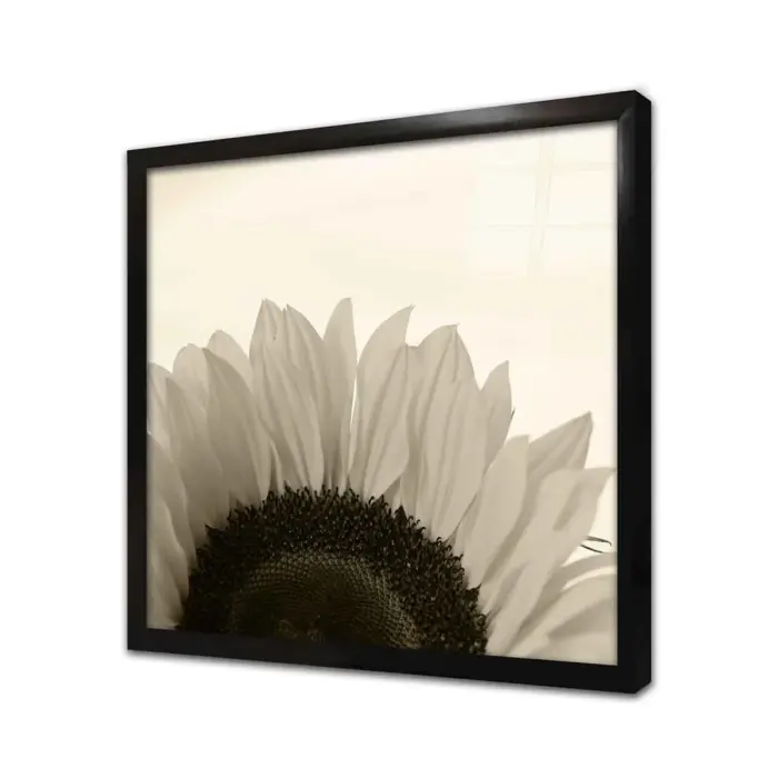 Makro Çekim Beyaz Çiçek | Kanvas Tablo | Cam Tablo | Mdf Tablo | A03169 - Görsel 3