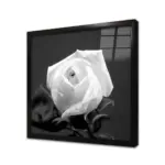 Siyah Fonda Beyaz Çiçek | Kanvas Tablo | Cam Tablo | Mdf Tablo | A03220 - Görsel 3