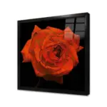 Gül Çizim | Kanvas Tablo | Cam Tablo | Mdf Tablo | A03259 - Görsel 3