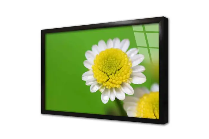 Makro Çekim Papatya | Kanvas Tablo | Cam Tablo | Mdf Tablo | A03264 - Görsel 3