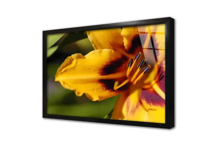 Makro Çekim Çiçek | Kanvas Tablo | Cam Tablo | Mdf Tablo | A03305 - Görsel 3