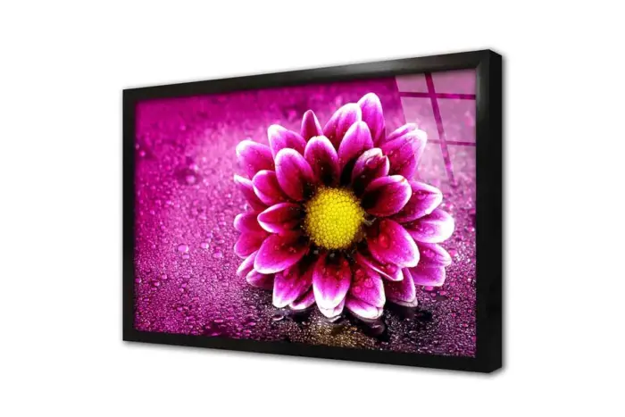 Pembe Çiçek Makro | Kanvas Tablo | Cam Tablo | Mdf Tablo | A03523 - Görsel 3
