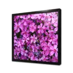 Lila Rengi Çiçekler | Kanvas Tablo | Cam Tablo | Mdf Tablo | A03529 - Görsel 3