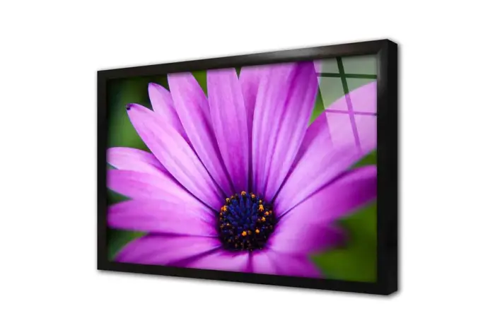 Lila Çiçek Makro Çekim | Kanvas Tablo | Cam Tablo | Mdf Tablo | A03546 - Görsel 3