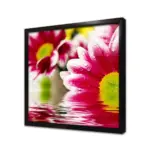 Çiçeğin Üzerinde Su Damlacıkları | Kanvas Tablo | Cam Tablo | Mdf Tablo | A03595 - Görsel 3