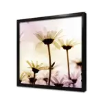 Papatya Yakın Çekim | Kanvas Tablo | Cam Tablo | Mdf Tablo | A03597 - Görsel 3