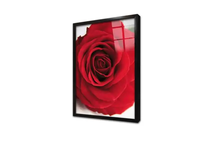 Makro Gül | Kanvas Tablo | Cam Tablo | Mdf Tablo | A03641 - Görsel 3