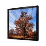 Çiçek Açmış Ağaç | Kanvas Tablo | Cam Tablo | Mdf Tablo | A20625 - Görsel 3