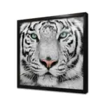 Siyah Beyaz Kaplan | Kanvas Tablo | Cam Tablo | Mdf Tablo | A32025 - Görsel 3