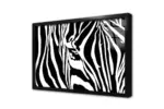 Yakın Çekim Zebra | Kanvas Tablo | Cam Tablo | Mdf Tablo | A32027 - Görsel 3