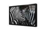 Yakın Çekim Zebra | Kanvas Tablo | Cam Tablo | Mdf Tablo | A32029 - Görsel 3