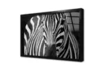 Yakın Çekim Zebra | Kanvas Tablo | Cam Tablo | Mdf Tablo | A32030 - Görsel 3