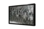 Zebra Sürüsü | Kanvas Tablo | Cam Tablo | Mdf Tablo | A32033 - Görsel 3