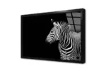 Zebra | Kanvas Tablo | Cam Tablo | Mdf Tablo | A32067 - Görsel 3