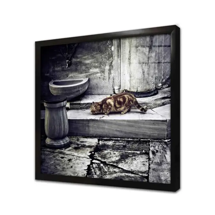 Kedi | Kanvas Tablo | Cam Tablo | Mdf Tablo | A32069 - Görsel 3