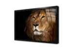 Yakın Çekim Aslan | Kanvas Tablo | Cam Tablo | Mdf Tablo | A32073 - Görsel 3