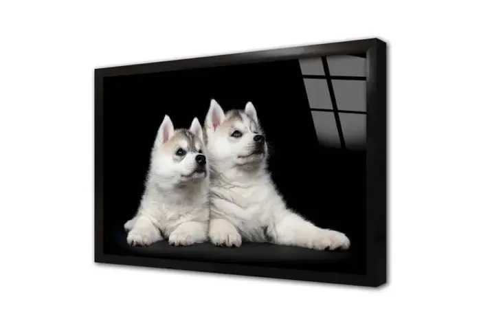 Beyaz Köpek | Kanvas Tablo | Cam Tablo | Mdf Tablo | A32088 - Görsel 3