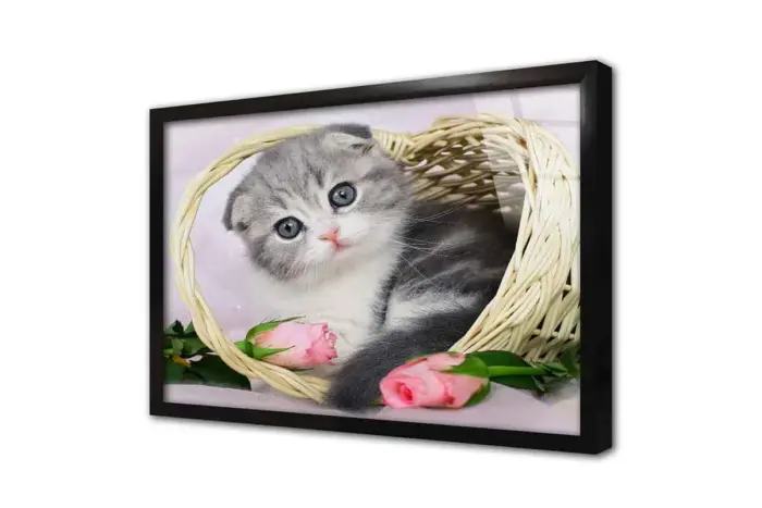 Kedi Yavrusu | Kanvas Tablo | Cam Tablo | Mdf Tablo | A32105 - Görsel 3