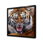 Yakın Çekim Aslan | Kanvas Tablo | Cam Tablo | Mdf Tablo | A32111 - Görsel 3