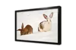 Karda Tavşan | Kanvas Tablo | Cam Tablo | Mdf Tablo | A32187 - Görsel 3