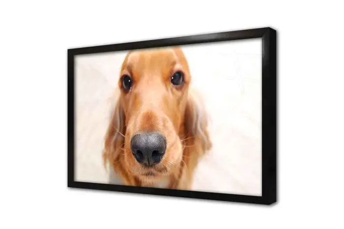 Köpek | Kanvas Tablo | Cam Tablo | Mdf Tablo | A32188 - Görsel 3