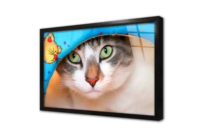 Kedi | Kanvas Tablo | Cam Tablo | Mdf Tablo | A32206 - Görsel 3