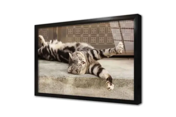 Kedi | Kanvas Tablo | Cam Tablo | Mdf Tablo | A32207 - Görsel 3