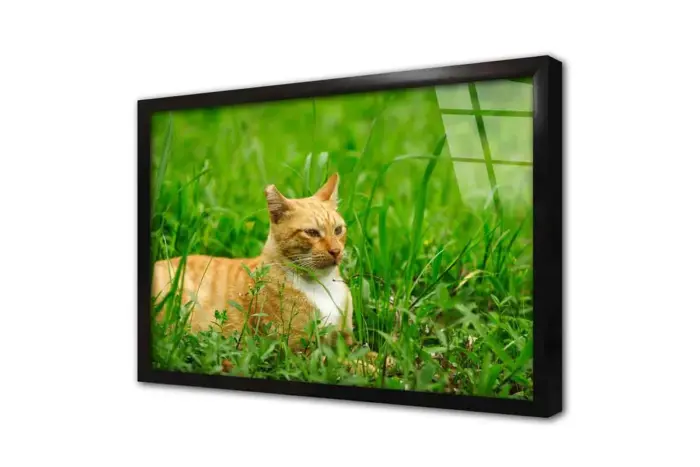 Kedi | Kanvas Tablo | Cam Tablo | Mdf Tablo | A32208 - Görsel 3