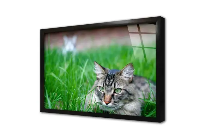 Kedi | Kanvas Tablo | Cam Tablo | Mdf Tablo | A32217 - Görsel 3