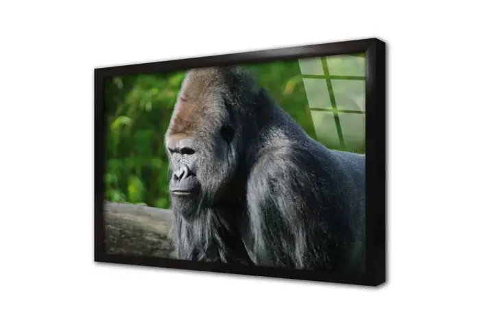 Orangutan | Kanvas Tablo | Cam Tablo | Mdf Tablo | A32223 - Görsel 3