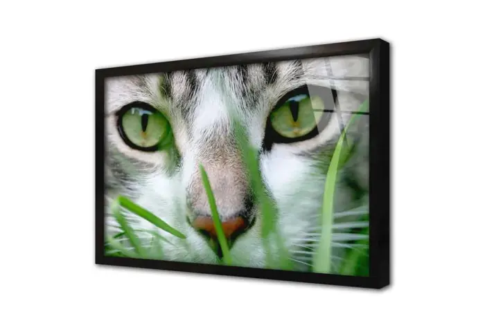 Kedi | Kanvas Tablo | Cam Tablo | Mdf Tablo | A32225 - Görsel 3