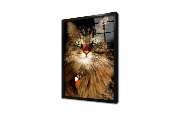 Kedi | Kanvas Tablo | Cam Tablo | Mdf Tablo | A32226 - Görsel 3