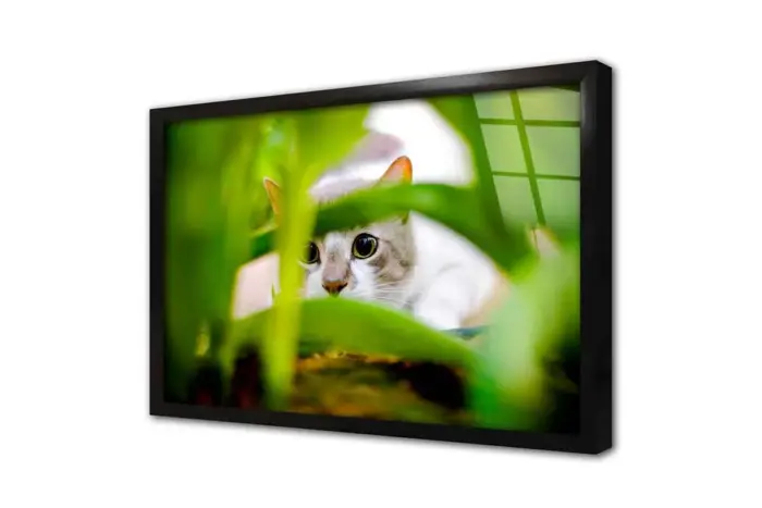 Kedi | Kanvas Tablo | Cam Tablo | Mdf Tablo | A32227 - Görsel 3