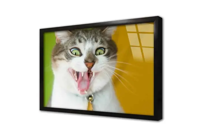 Kedi | Kanvas Tablo | Cam Tablo | Mdf Tablo | A32228 - Görsel 3