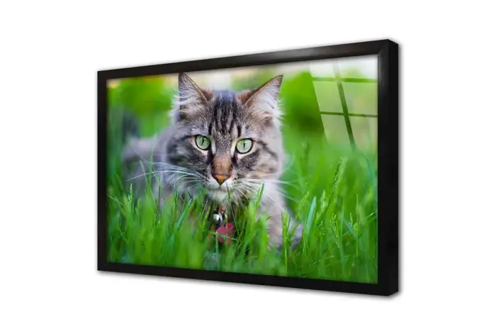 Kedi | Kanvas Tablo | Cam Tablo | Mdf Tablo | A32229 - Görsel 3