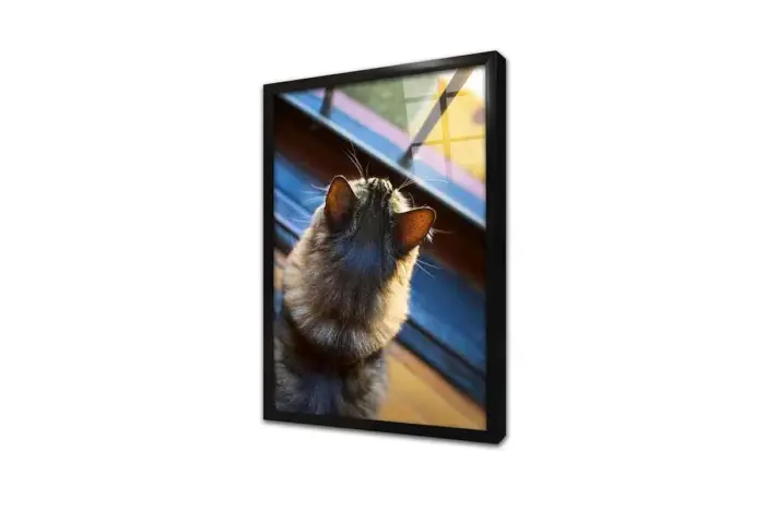 Kedi | Kanvas Tablo | Cam Tablo | Mdf Tablo | A32232 - Görsel 3