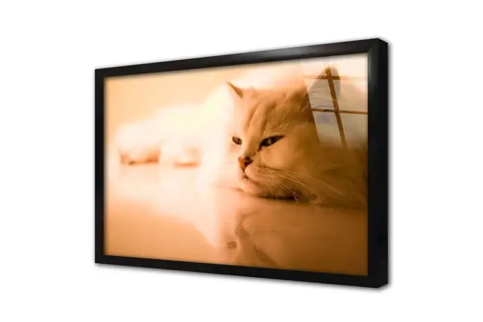 Kedi | Kanvas Tablo | Cam Tablo | Mdf Tablo | A32233 - Görsel 3