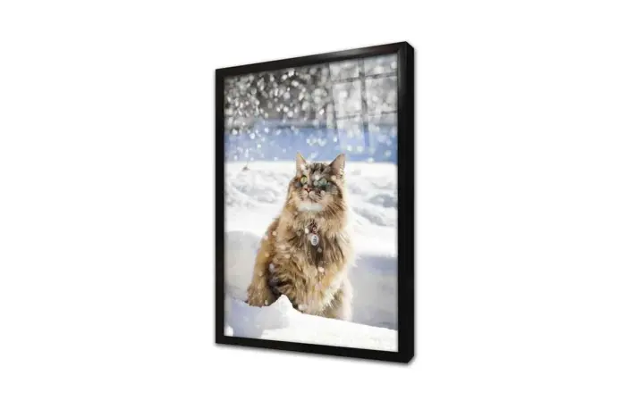 Kedi | Kanvas Tablo | Cam Tablo | Mdf Tablo | A32234 - Görsel 3