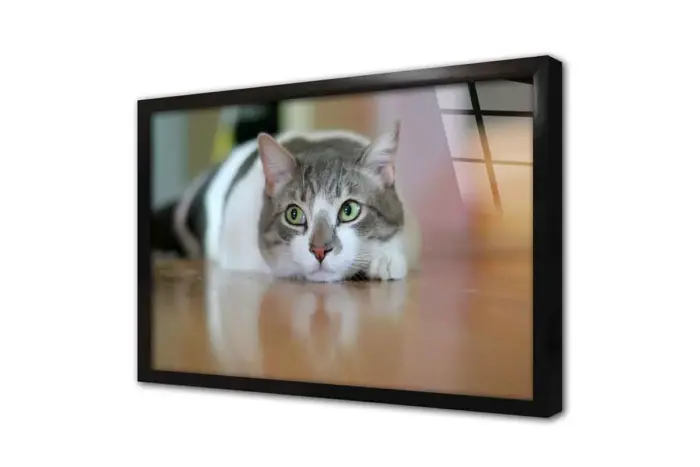 Kedi | Kanvas Tablo | Cam Tablo | Mdf Tablo | A32236 - Görsel 3