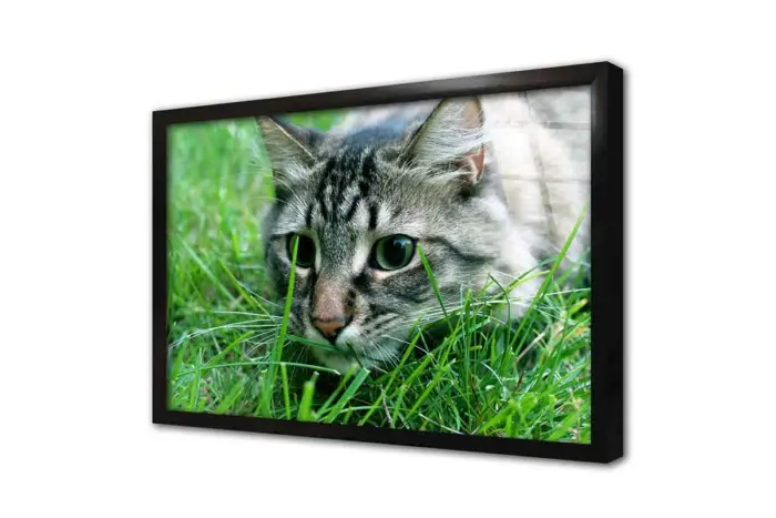 Kedi | Kanvas Tablo | Cam Tablo | Mdf Tablo | A32237 - Görsel 3