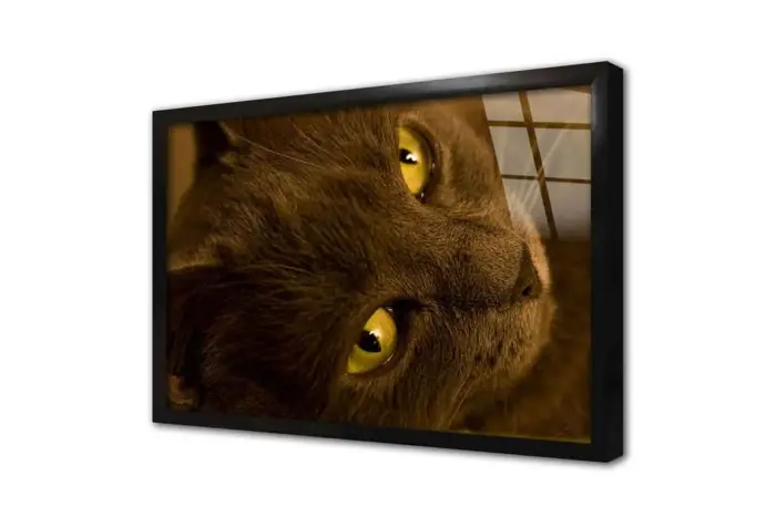 Kedi | Kanvas Tablo | Cam Tablo | Mdf Tablo | A32238 - Görsel 3