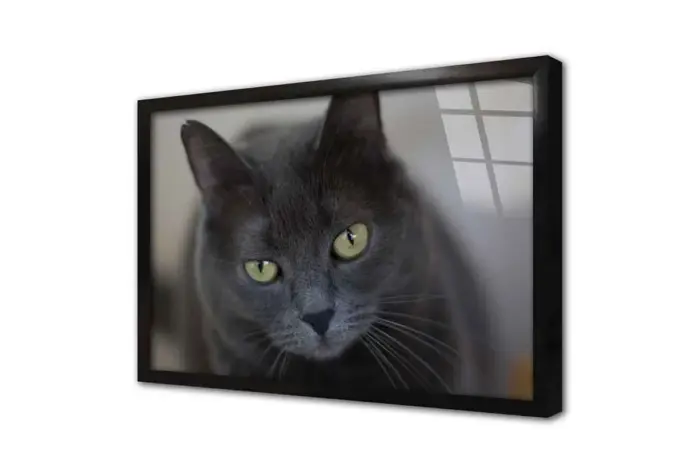 Kedi | Kanvas Tablo | Cam Tablo | Mdf Tablo | A32239 - Görsel 3