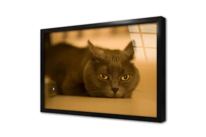 Kedi | Kanvas Tablo | Cam Tablo | Mdf Tablo | A32240 - Görsel 3