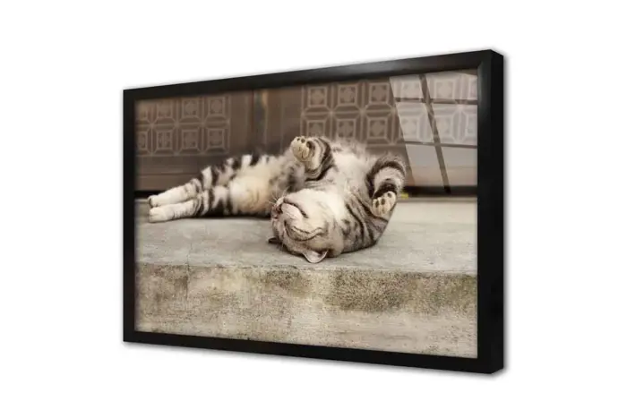 Kedi | Kanvas Tablo | Cam Tablo | Mdf Tablo | A32241 - Görsel 3