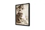 Kedi Yavrusu | Kanvas Tablo | Cam Tablo | Mdf Tablo | A32258 - Görsel 3