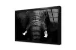 Siyah Beyaz Fil | Kanvas Tablo | Cam Tablo | Mdf Tablo | A32259 - Görsel 3